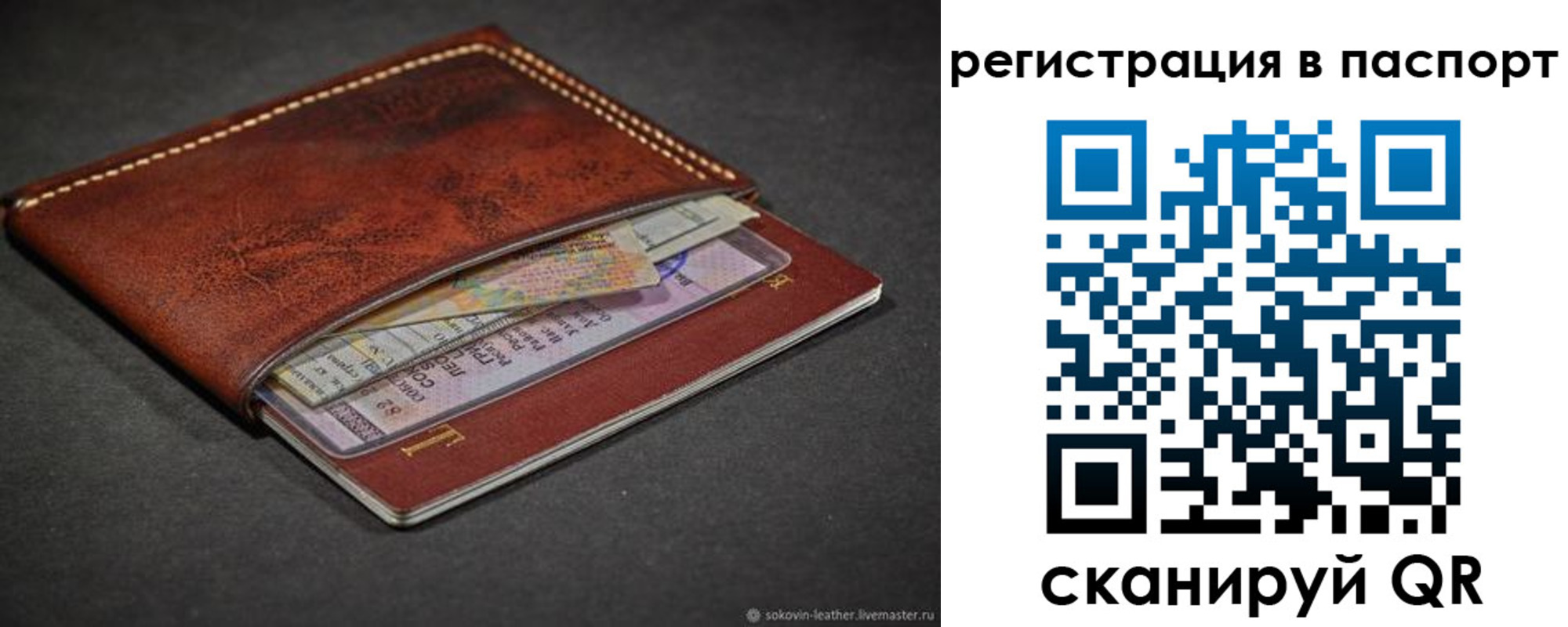 прописка иностранных граждан в Апатитах